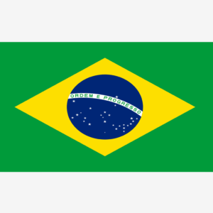Buy CNGB Shipping Goods Based on Billing Weight, Cost for 1KG Parcel from China to Brazil (CN-BR) via China Direct Small Packets