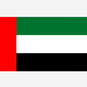 Buy CNGB Shipping Goods Based on Billing Weight, Cost for 1KG Parcel from China to United Arab Emirates (CN-AE) via China Direct Small Packets