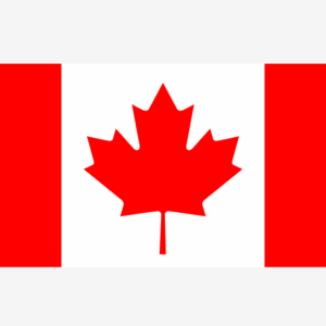 Buy CNGB Shipping Goods Based on Billing Weight, Cost for 1KG Parcel from China to Canada (CN-CA) via China Direct Small Packets