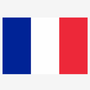 Buy CNGB Shipping Goods Based on Billing Weight, Cost for 1KG Parcel from China to France (CN-FR) via China Direct Small Packets