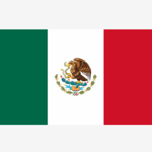 Buy CNGB Shipping Goods Based on Billing Weight, Cost for 1KG Parcel from China to Mexico (CN-MX) via China Direct Small Packets