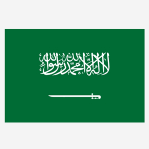 Buy CNGB Shipping Goods Based on Billing Weight, Cost for 1KG Parcel from China to Saudi Arabia (CN-SA) via China Direct Small Packets