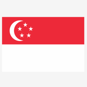 Buy CNGB Shipping Goods Based on Billing Weight, Cost for 1KG Parcel from China to Singapore (CN-SG) via China Direct Small Packets